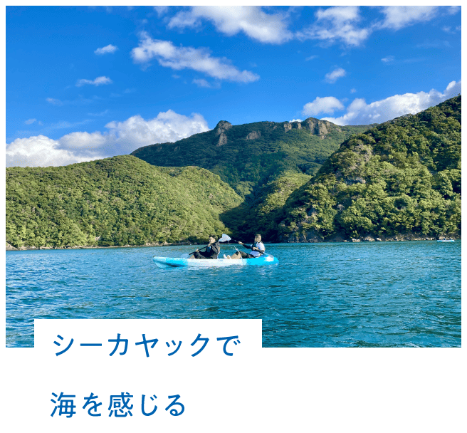 シーカヤックで海を感じる