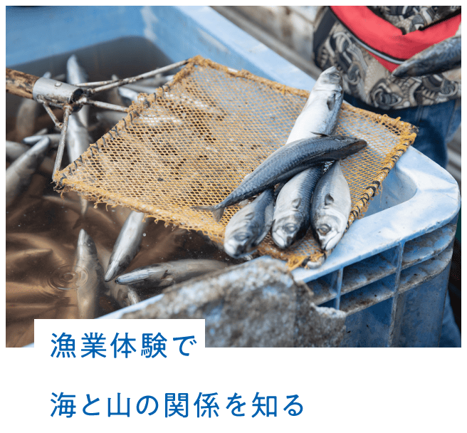 漁業体験で海と山の関係を知る