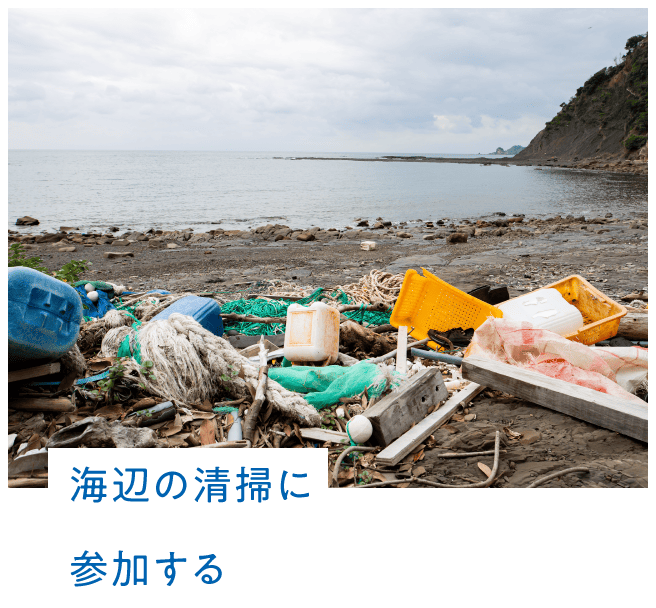 海辺の清掃に参加する